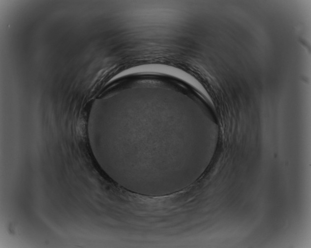 X0000093230035200710031507