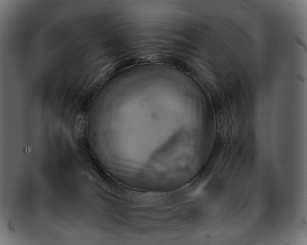 X0000093230036200710031507