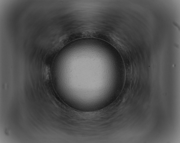 X0000093230038200710031507