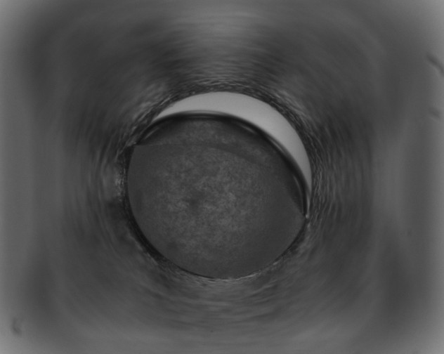 X0000093230039200710031507