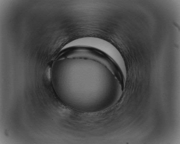 X0000093230041200710031507