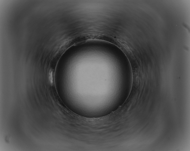 X0000093230042200710031507