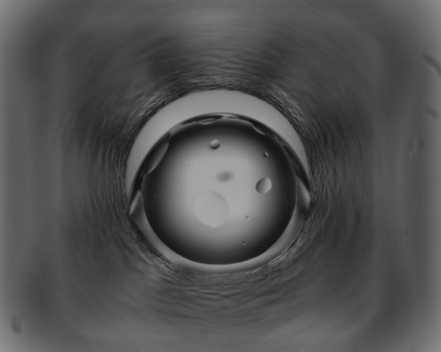 X0000093230045200710031507