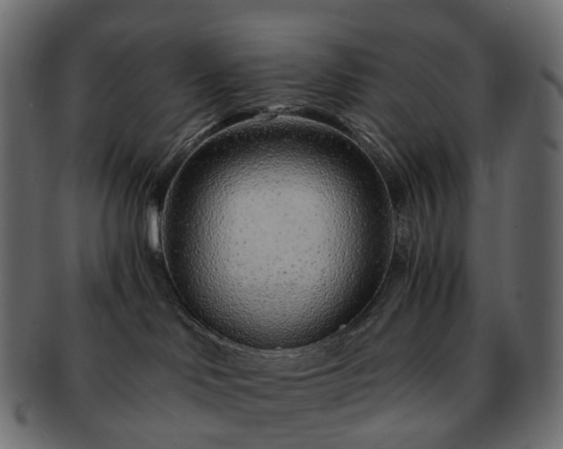 X0000093230046200710031507