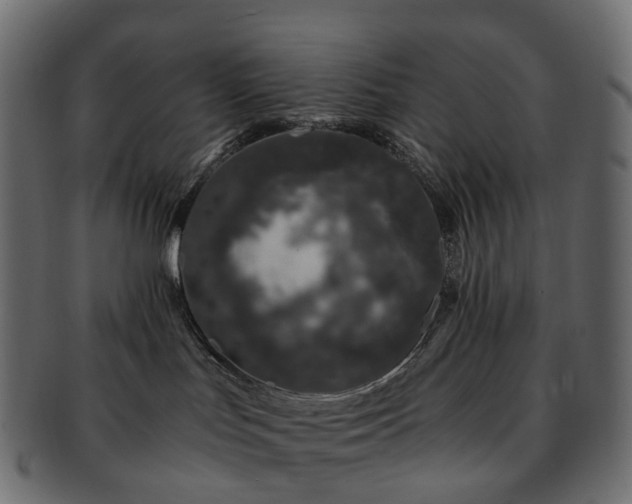 X0000093230047200710031507