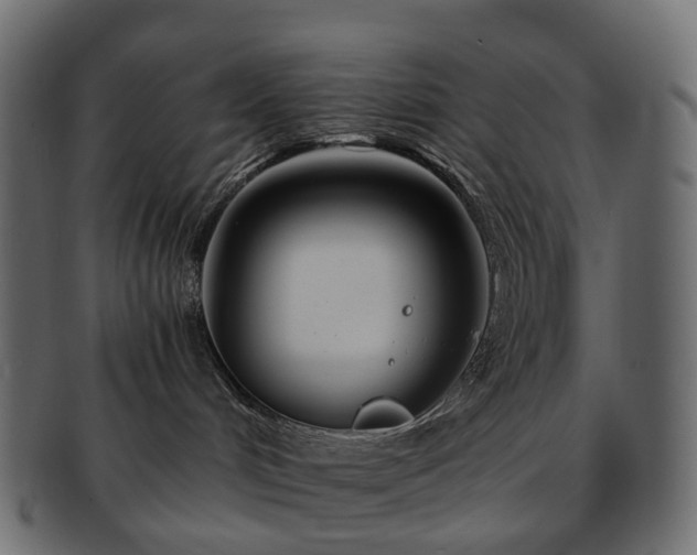 X0000093230048200710031507