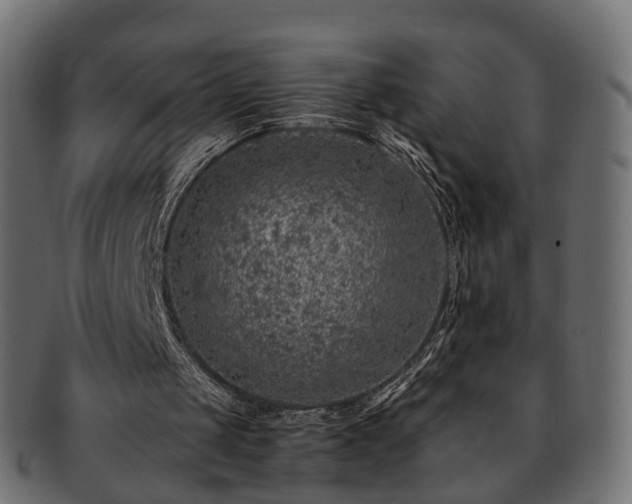 X0000093230049200710031506