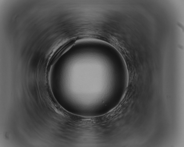 X0000093230050200710031506