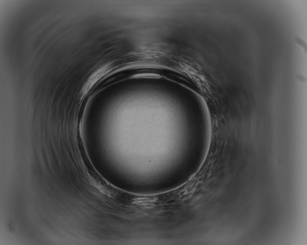 X0000093230051200710031506