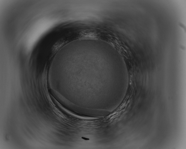 X0000093230052200710031506