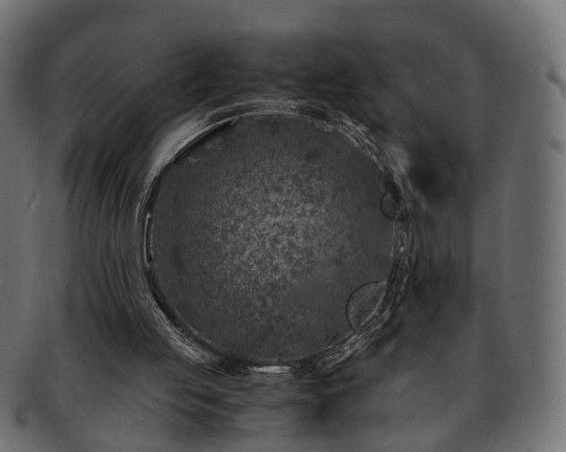 X0000093230053200710031506