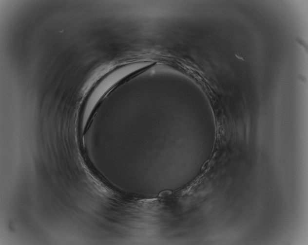 X0000093230054200710031506