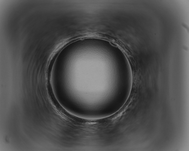 X0000093230055200710031506