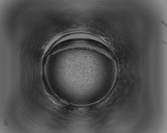 X0000093230056200710031506