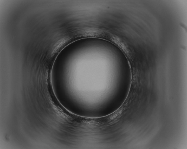 X0000093230058200710031506