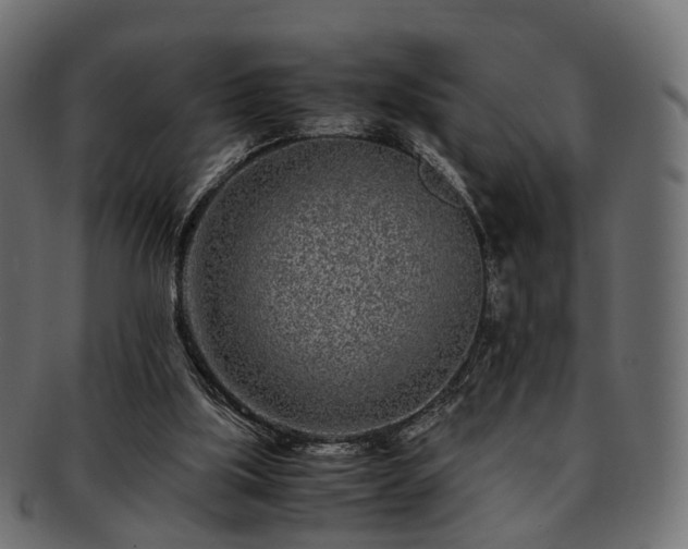 X0000093230059200710031506