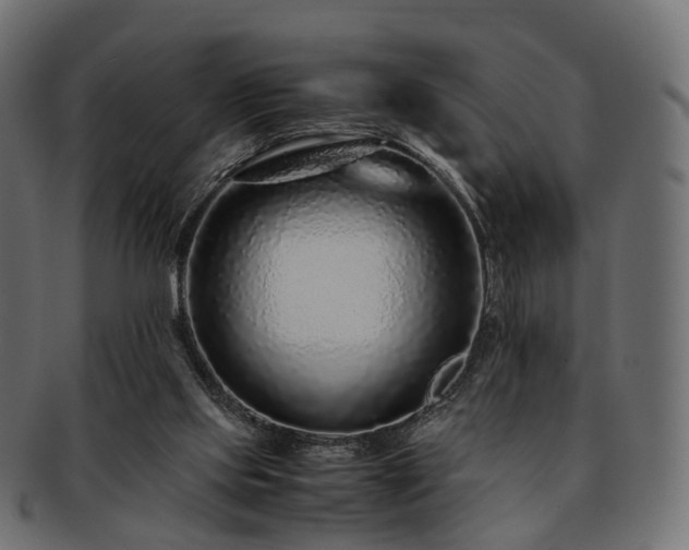 X0000093230061200710031506