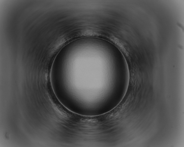 X0000093230063200710031506