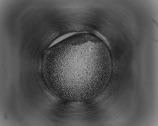 X0000093230065200710031506