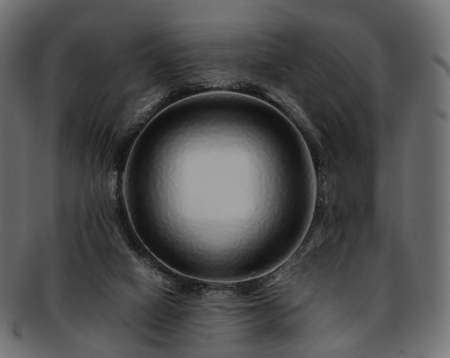 X0000093230066200710031506