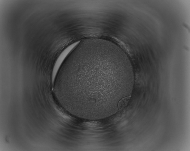 X0000093230069200710031506