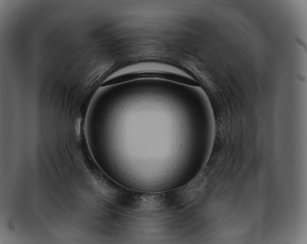 X0000093230070200710031506