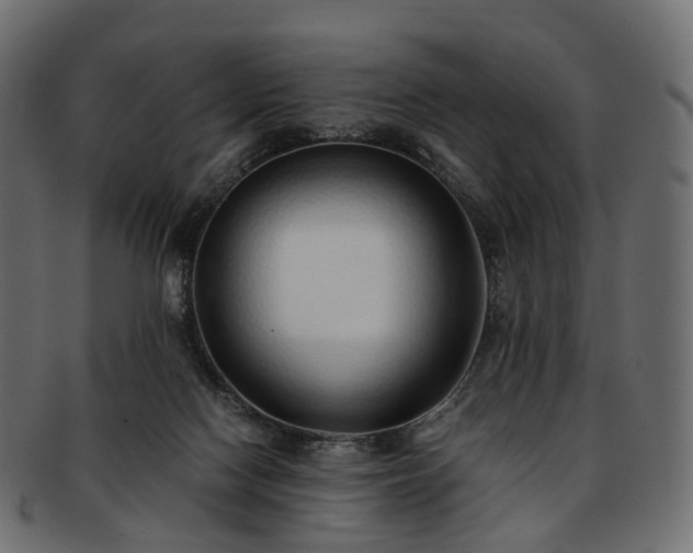 X0000093230074200710031506