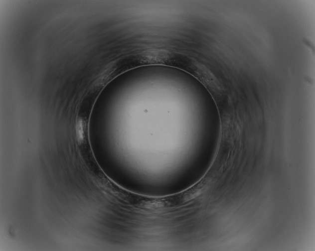 X0000093230075200710031506