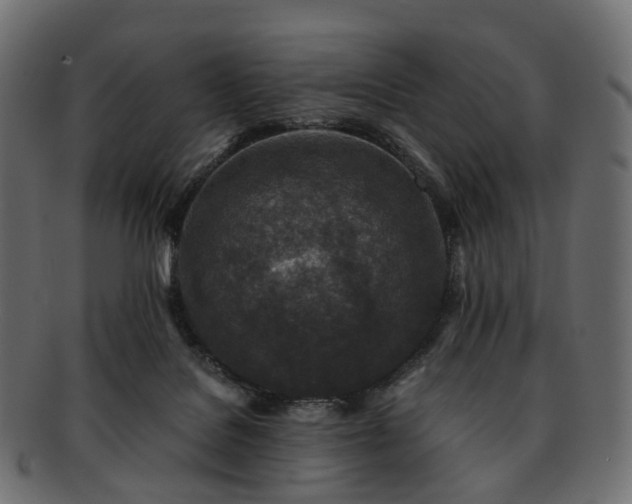 X0000093230076200710031506