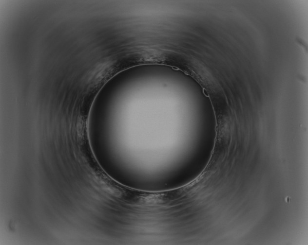 X0000093230078200710031506