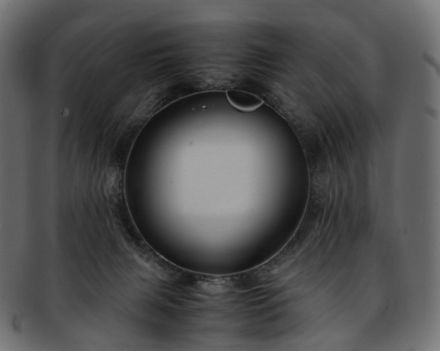 X0000093230079200710031506