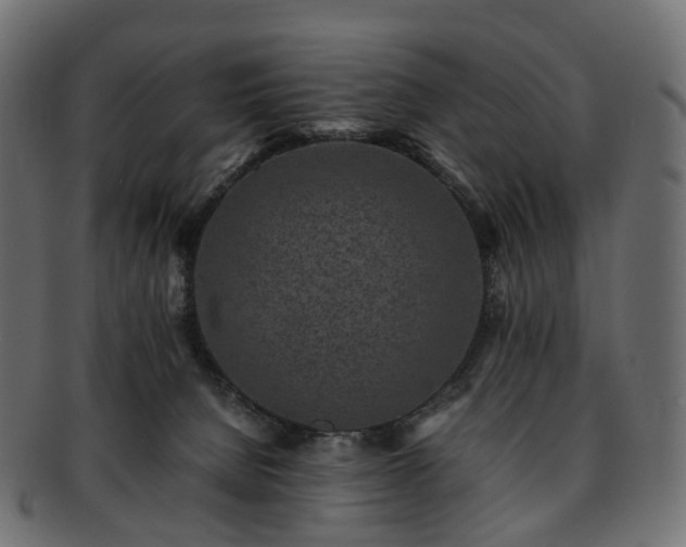 X0000093230080200710031506