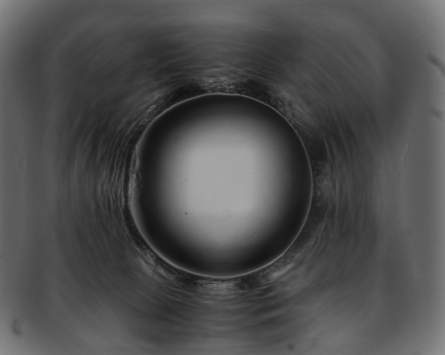 X0000093230081200710031506