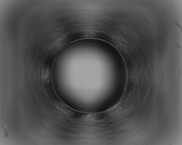 X0000093230082200710031506