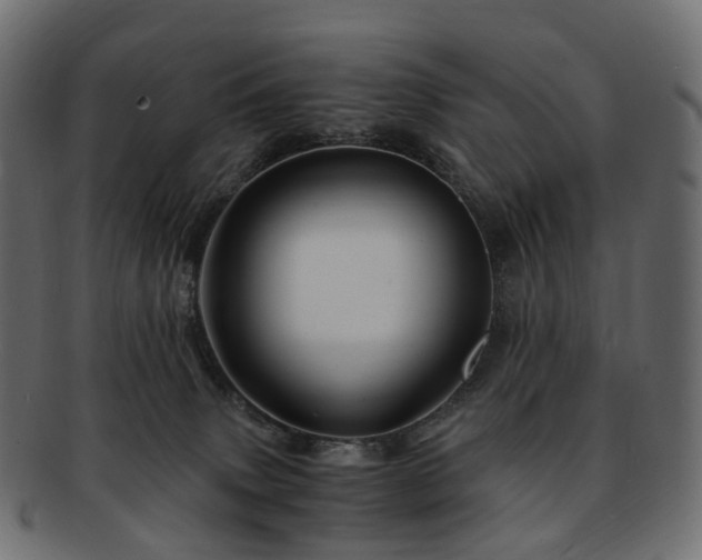 X0000093230083200710031506