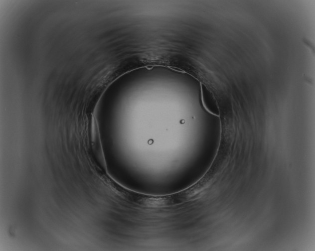 X0000093230085200710031506