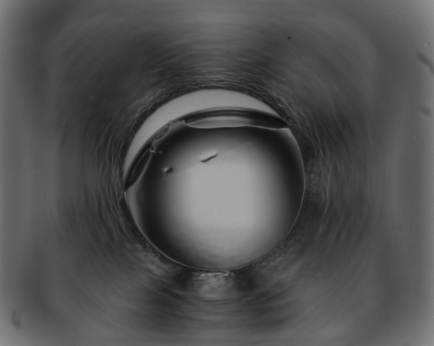 X0000093230089200710031506