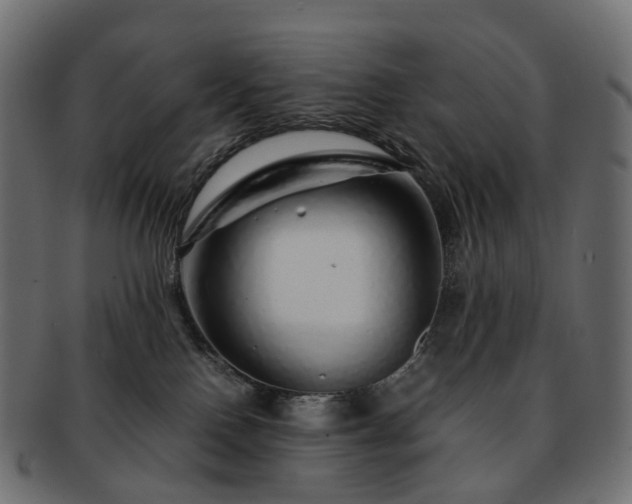 X0000093230090200710031506