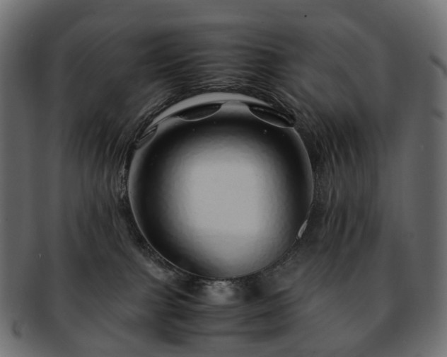 X0000093230091200710031507