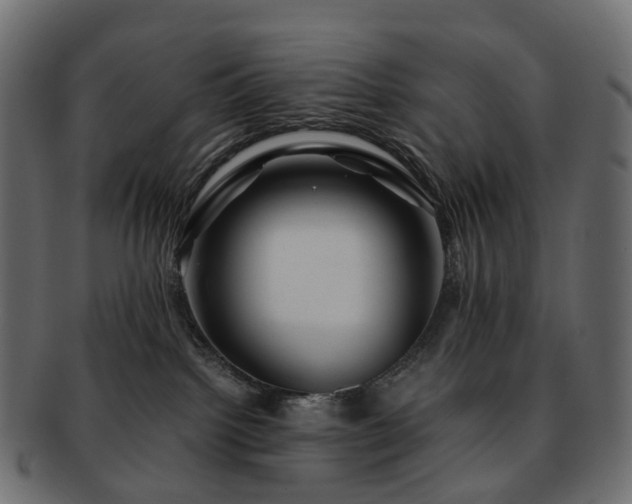 X0000093230092200710031507