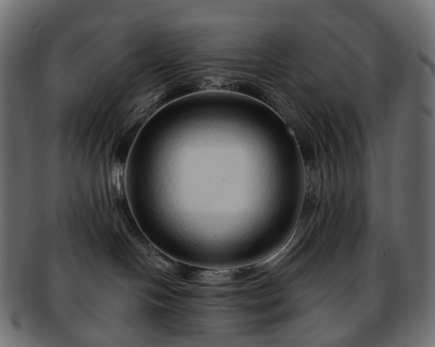 X0000093230094200710031507