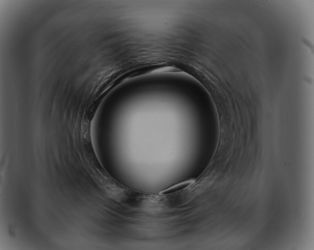 X0000093230096200710031507