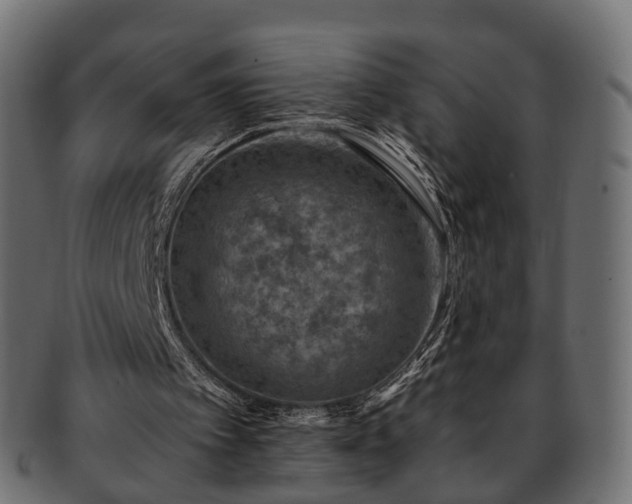 X0000093230097200710031506