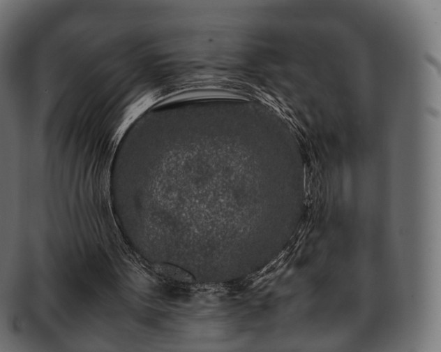 X0000093230099200710031506