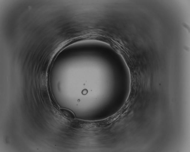 X0000093230100200710031506