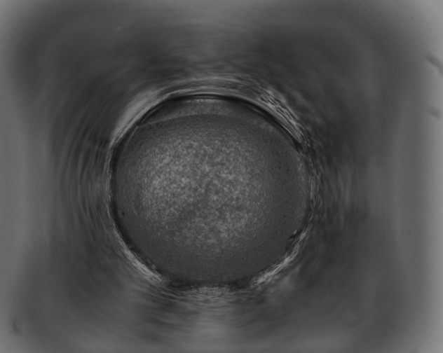 X0000093230101200710031506