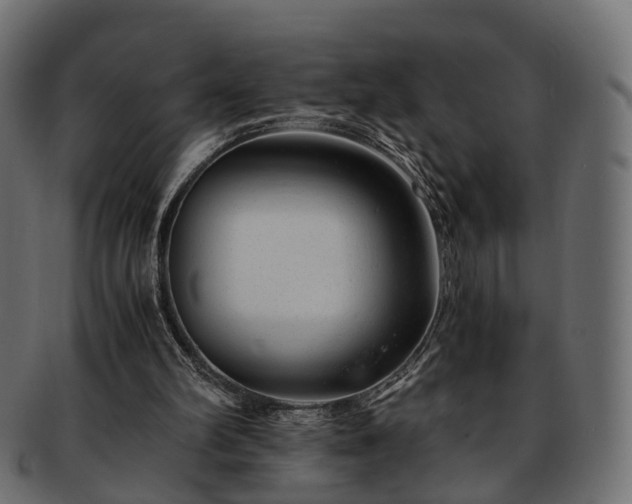 X0000093230102200710031506