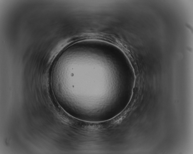 X0000093230103200710031506