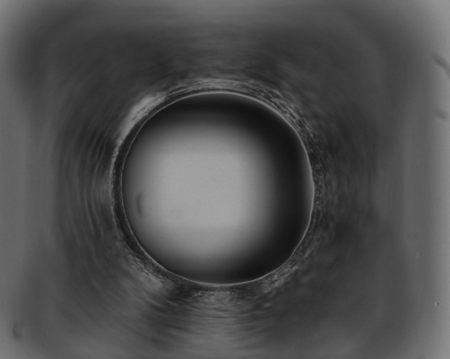 X0000093230104200710031506