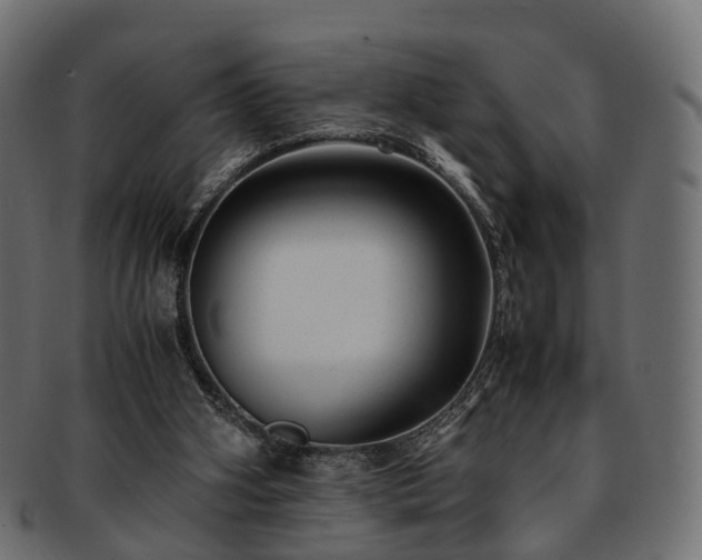 X0000093230106200710031506